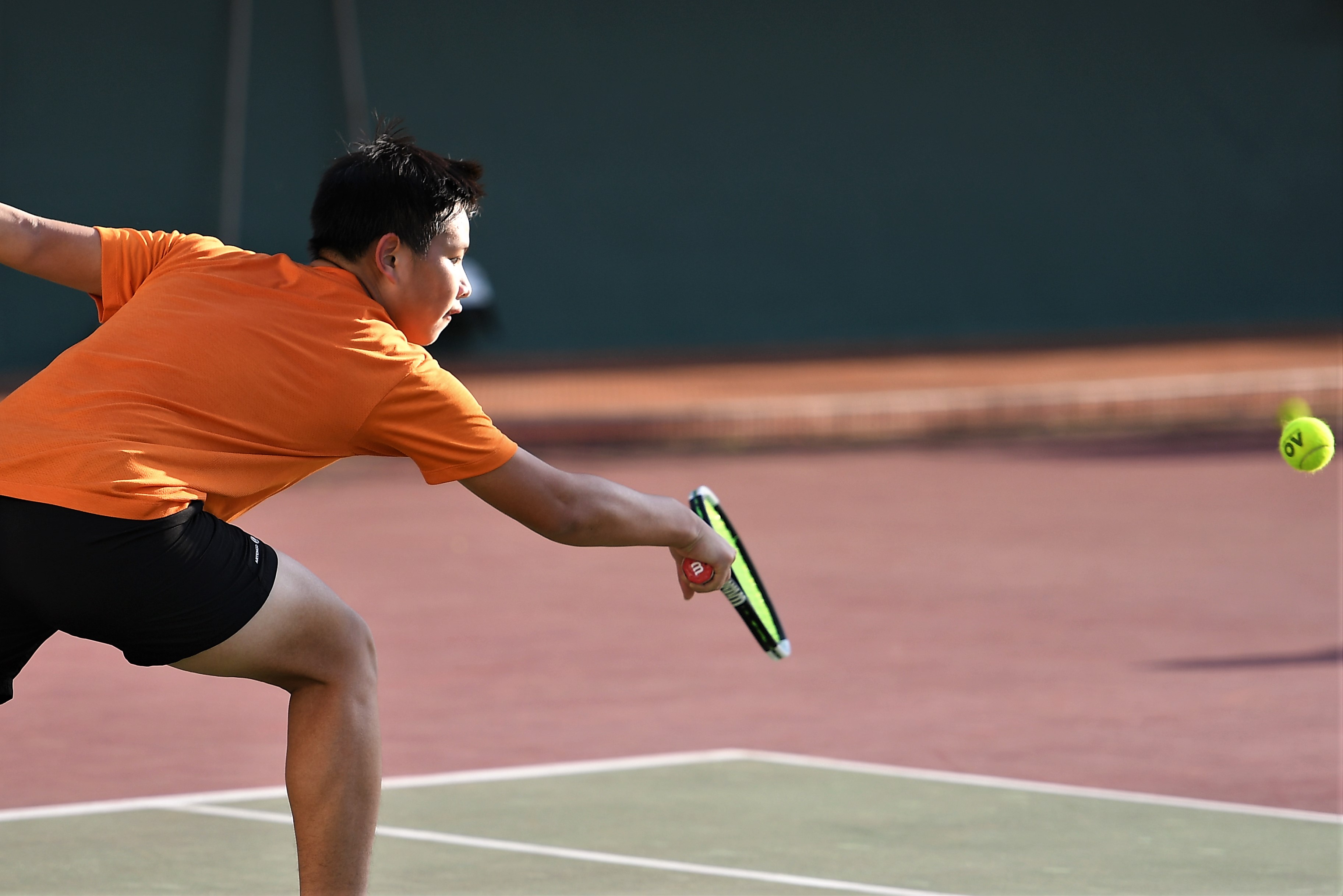 /album/Past Photos/Nikon Album 2018/20181111/CRC_1196.JPG